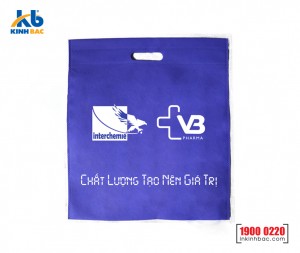 Túi ép nhiệt đục lỗ - ENDL6