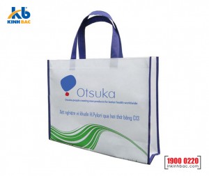 Túi hình hộp có hông - TVCH46