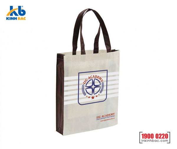 Túi hình hộp có hông - TVCH25